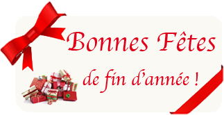 bonnes fêtes 2012